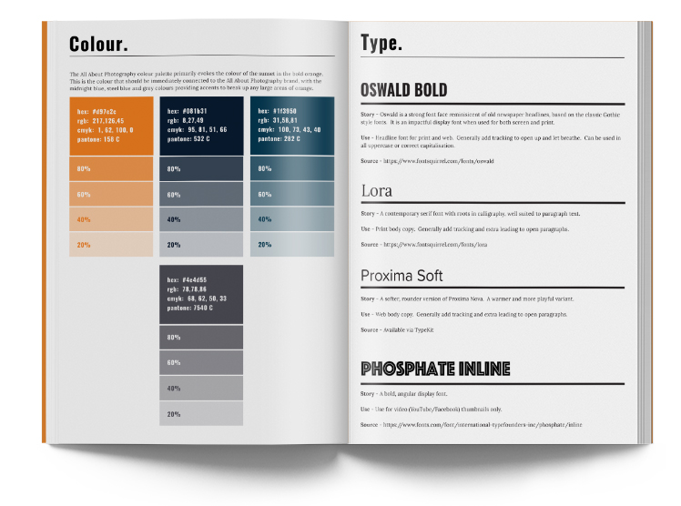 AAPH Style Guide Mockup